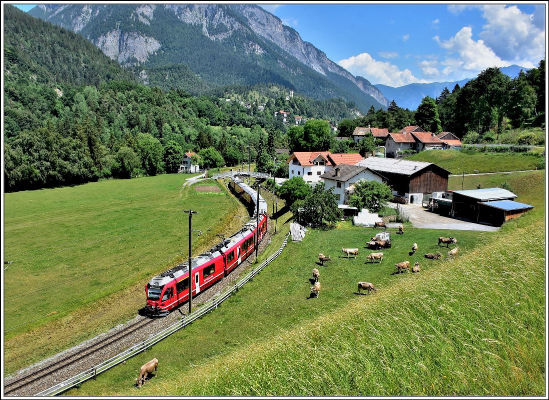 IR1141 mit ABe 8/12 3503 auf dem Weg nach St.Moritz beim Weiler Campagna zwischen Reichenau-Tamins und Bonaduz. (05.06.2018)