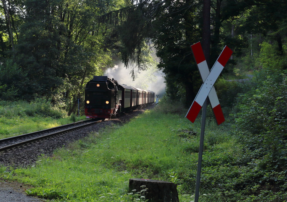 Kurz hinter der Steinernen Renne rollt 99 7240 mit dem 8924 (Brocken - Wernigerode) dem Wernigeröder Ortsteil Hasserode entgegen.

Steinerne Renne, 07. August 2017