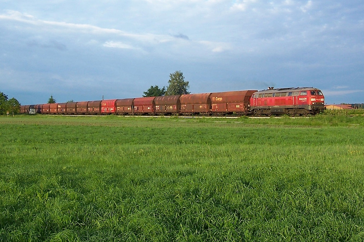 Kurz nach Meckenbeuren zieht eine Lok der Baureihe 225 die leeren Wagen der Gattung Falns des  Roberger Kieszuges  von Friedrichshafen Gbf nach Roberg zur Beladung (31.05.2010).