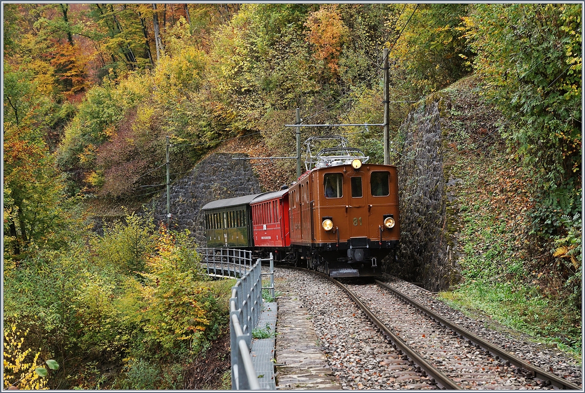 La Dernière du Blonay - Chamby - das 50. Jahre Jubiläum beschliesst die Blonay Chamby Bahn mit einer Abschlussvorstellung: Im bunten Herbstwald in der Baie de Clarens fährt die Bernina Bahn G 4/4 81 (Ge 6/6 bis 1929, später RhB Ge 4/4 181) mit einen kurzen Personenzug Richutng Chamby. 
28. Oktober 2018 

