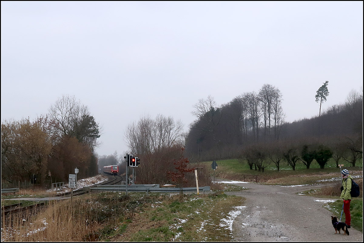 Landschaft am Bodensee mit Zug, Hund und Mensch -

Ein IRE-Triebzug in Richtung Ulm wird gleich den Bahnübergang bei Untermaurach in der Nähe der Klosterkirche Biranau erreichen.

Mein Hund konnte nicht so recht verstehen, warum ich so 10 Minuten an einer Stelle stehen blieb...

09.02.2018 (M)