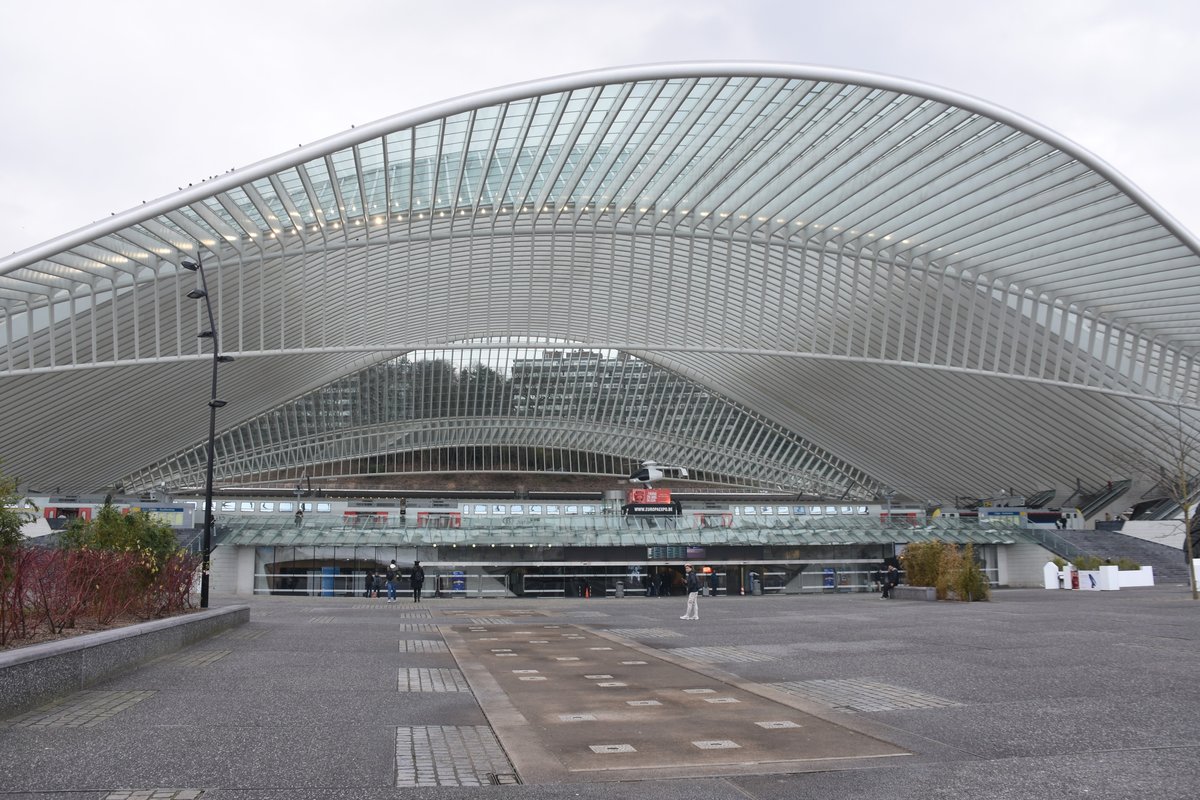 LIÈGE/LÜTTICH (Wallonie/Provinz Liège), 11.01.2018, Blick auf die Dachkonstruktion des Bahnhofs Liège-Guillemins