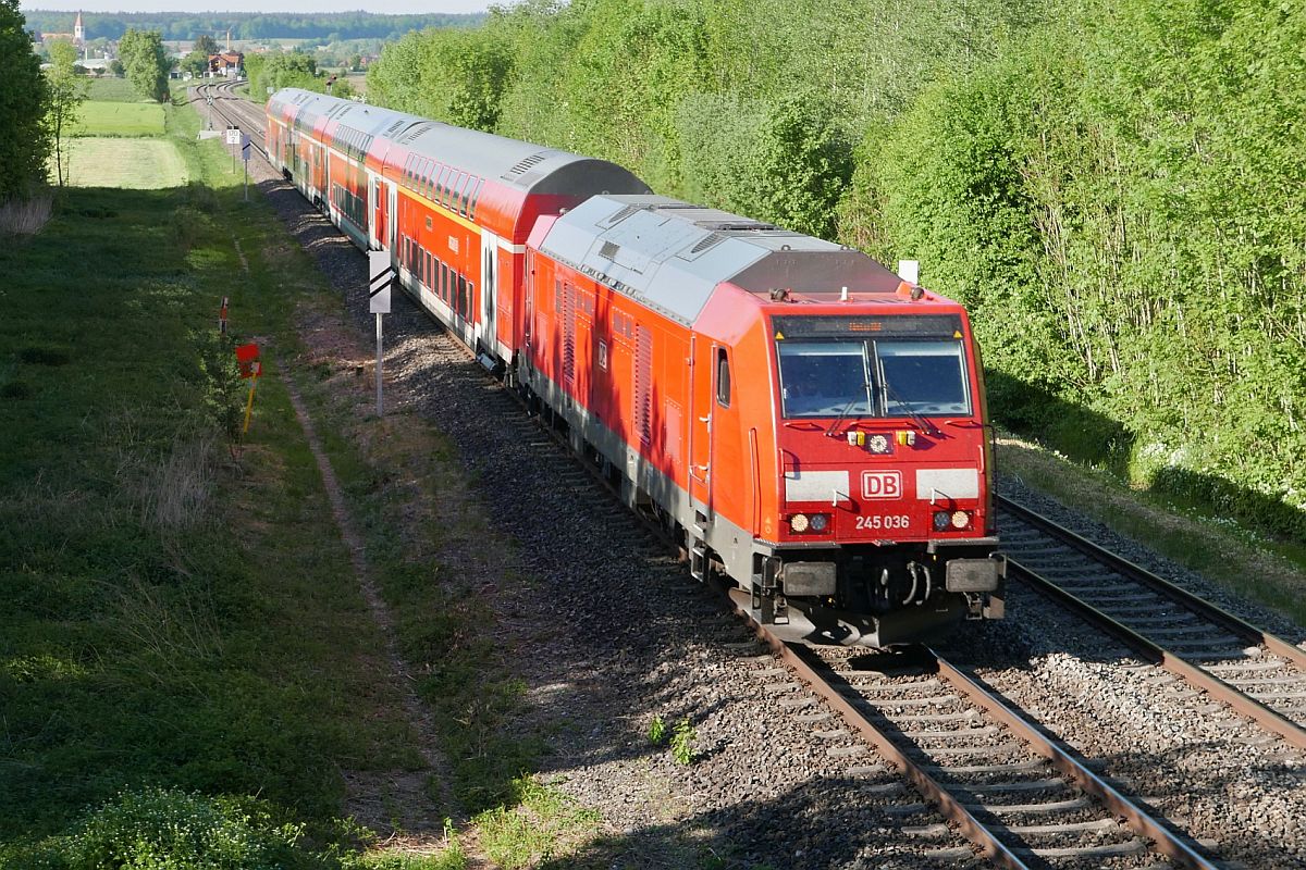 Licht und Schatten - Auf der Fahrt von Ulm nach Lindau zieht 245 036 am 06.05.2018 die Wagen des RE 4225 durch den zwischen Mochenwangen und Niederbiegen liegenden Schenkenwald.
