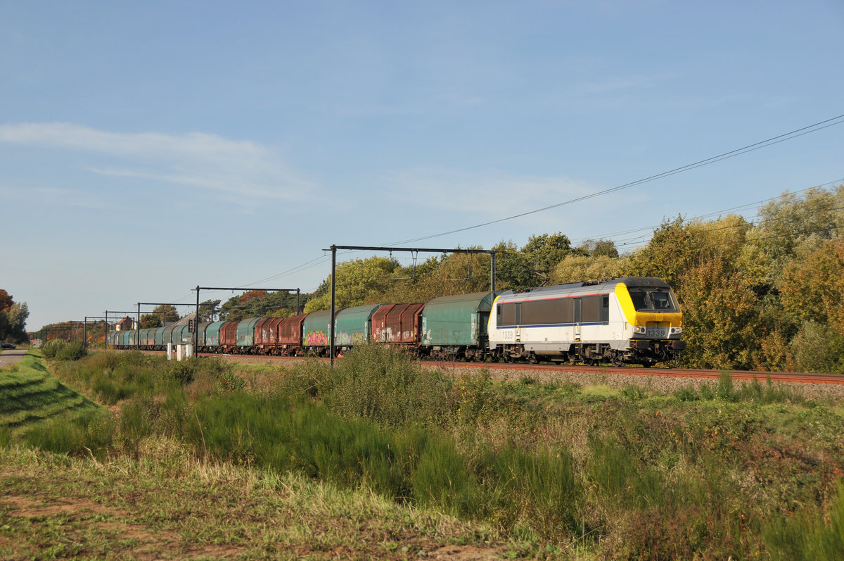 Lineas 1339 zieht einen geschlossenen Coilzug durch Lummen-Linkhout Richtung Hasselt. Aufnahme vom 13/10/2018.