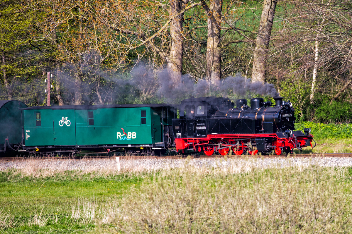 Lok 99481 mit dem Rasenden Roland vor dem Haltepunkt Serams. - 06.05.2017