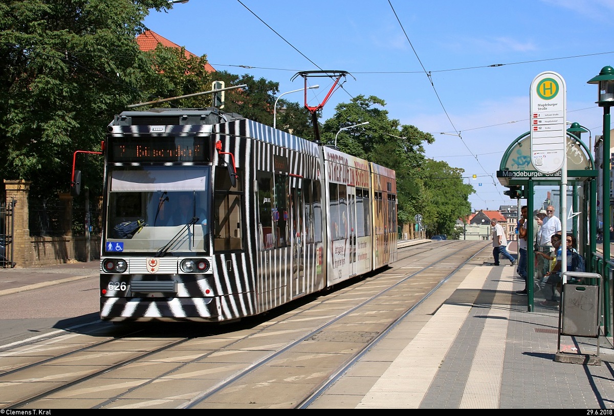 MGT6D, Wagen 626 mit Werbung für den Bergzoo Halle (Saale), der Halleschen Verkehrs-AG (HAVAG) als Linie 7 von Weinberg Campus nach Büschdorf verlässt die Haltestelle Magdeburger Straße.
Diese Linie hat aufgrund von Baumaßnahmen einen anderen Laufweg.
[29.6.2018 | 11:07 Uhr]