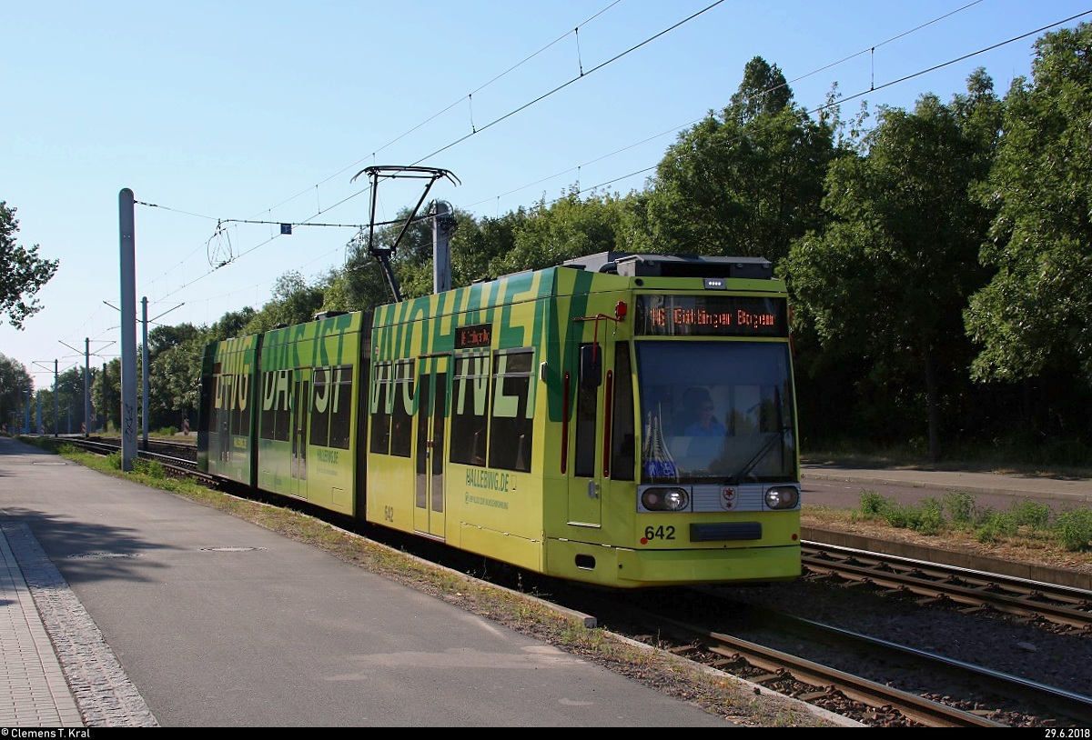 MGT6D, Wagen 642 mit Werbung für die Bau- und Wohnungsgenossenschaft Halle-Merseburg e.G. (BWG), der Halleschen Verkehrs-AG (HAVAG) als Linie 16 von Beesen nach Göttinger Bogen erreicht die Haltestelle Rennbahnkreuz.
[29.6.2018 | 8:15 Uhr]