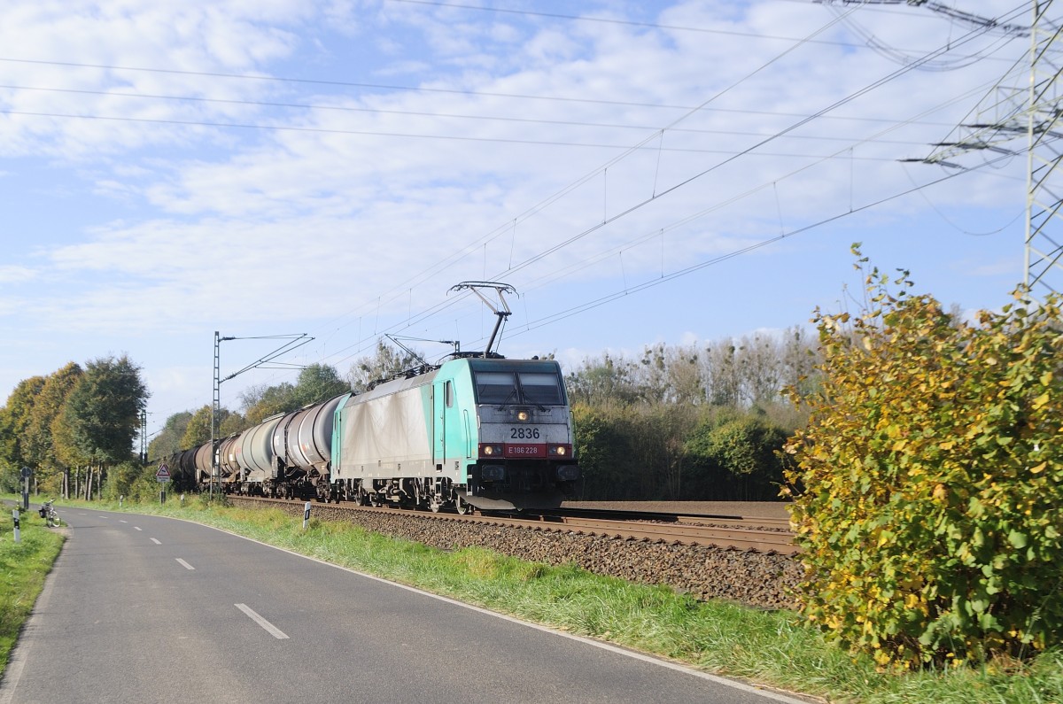 Mit einem Ganzzug Kesselwagen kommt die Cobra 2836 (E186 228) aus Aachen, am 01.11.2014 auf der KBS 485, Km 29/0, Geilenkirchen/Süggerath
