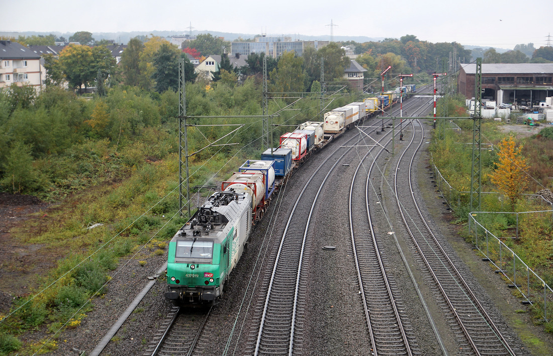 Mit einem KLV-Zug durchfährt 437019 den Güterbahnhof Ratingen West.
Aufgenommen am 14. Oktober 2015.