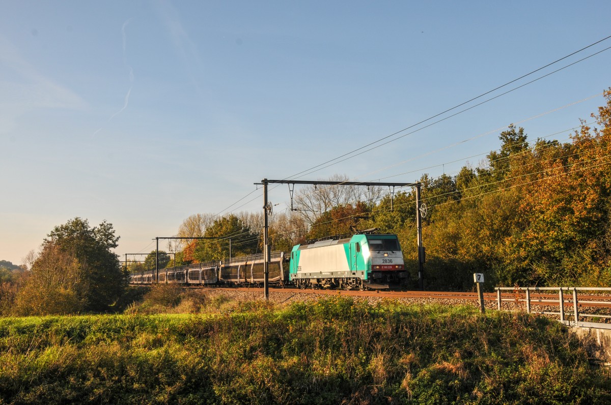 Mit einem leeren Autozug am Haken rollt Cobra-Lok 2836 (186 228) Richtung Hasselt. Aufgenommen am 31/10/2015 kurz vor Schulen an der Linie 35.