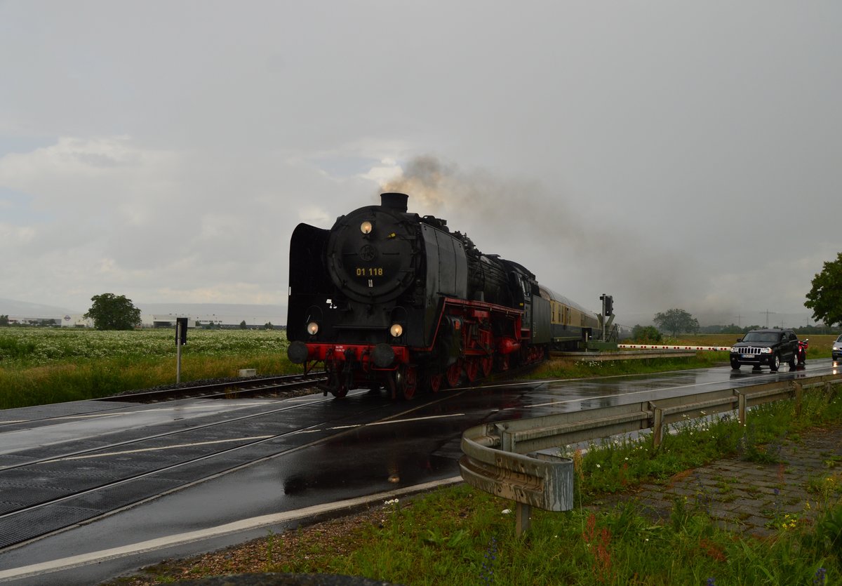 Mit einem Sonderzug aus Rheingoldwagen kommt die 01 118 gerade aus Bingen in Richtung Worms gefahren hier ist sie an einem BÜ in der Nähe von Gensingen abgelichtet worden. 18.6.2016