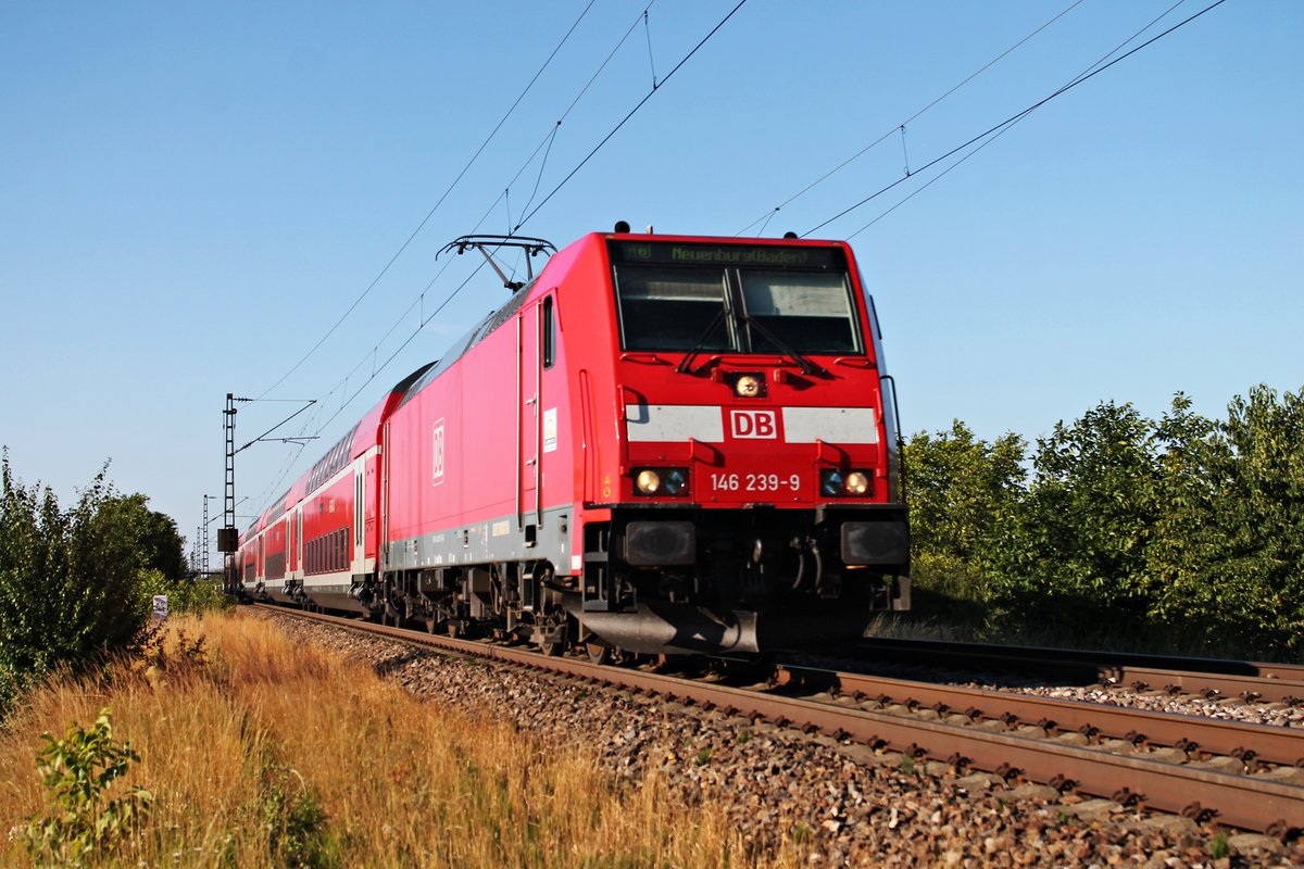 Mit ihrer RB (Offenburg - Neuenburg (Baden)) fuhr am 10.07.2015 die Freiburger 146 239-9 bei Hügelheim in Kürze in ihren vorletzten Zwischenhalt in Müllheim (Baden) ein.