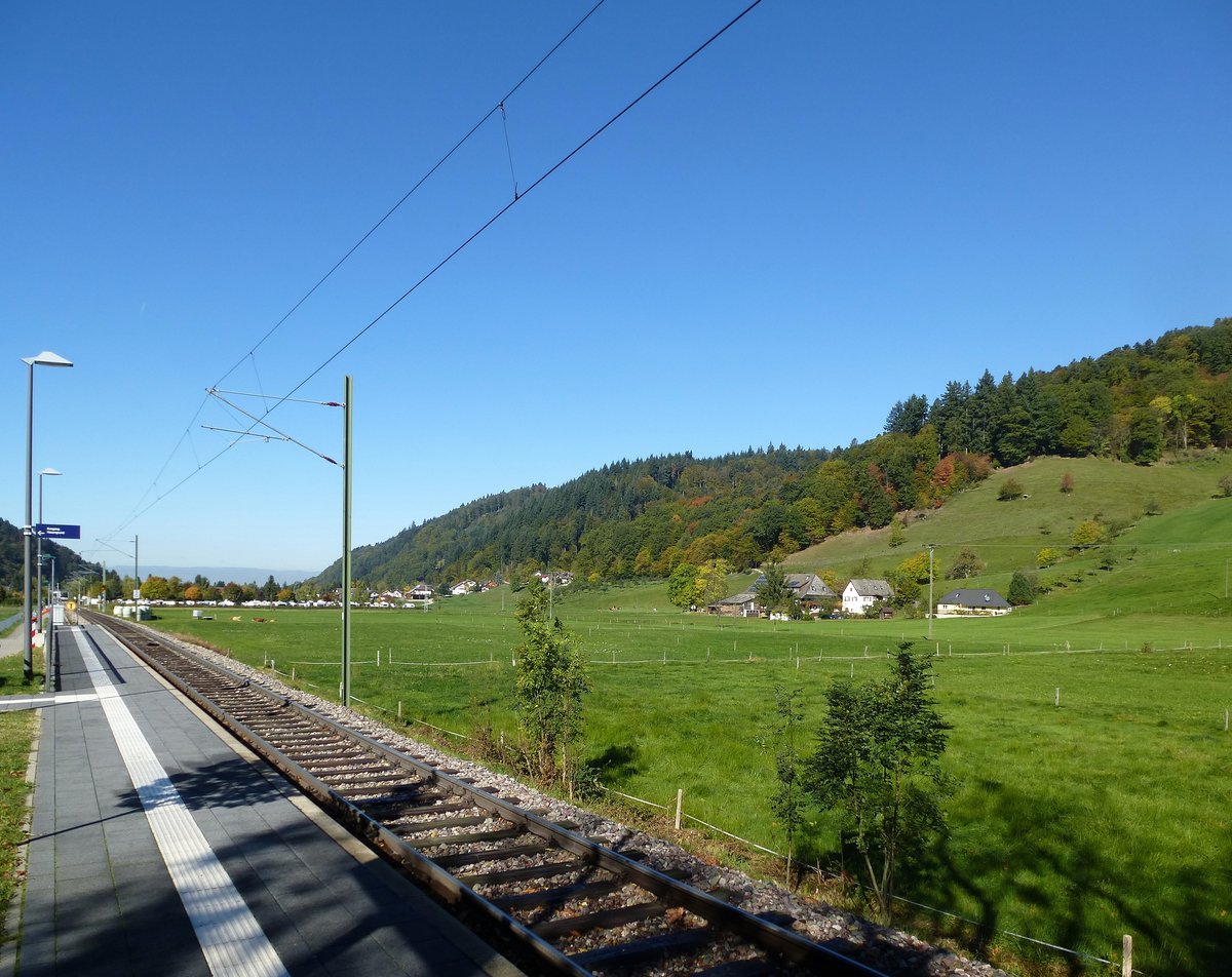 Münstertalbahn, Blick vom Bahnsteig der Haltestelle Hof talabwärts, Okt.2017