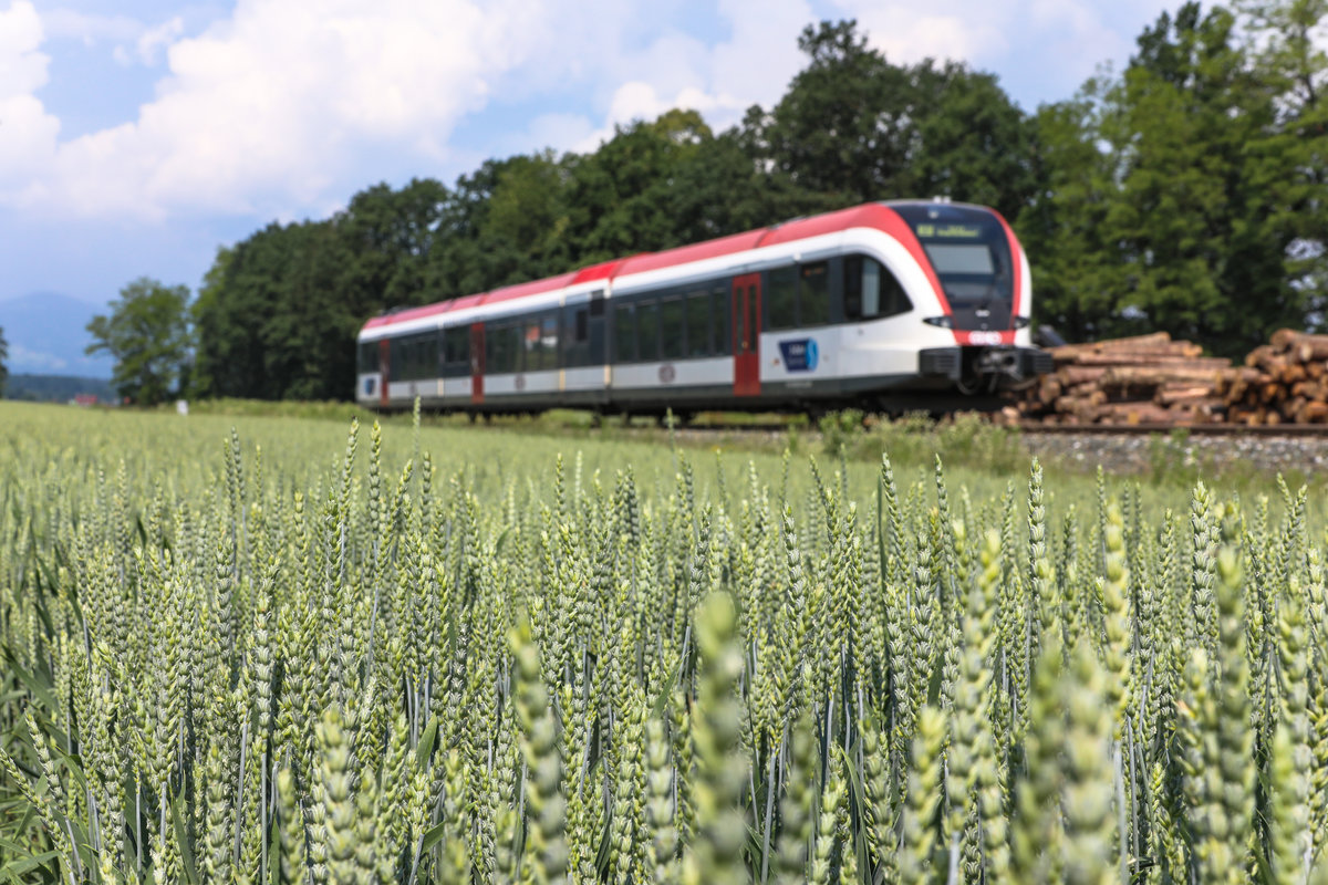 Nachschuss auf einen Zug der Linie S61 an diesem teilweise Sonnigen 6.06.2018