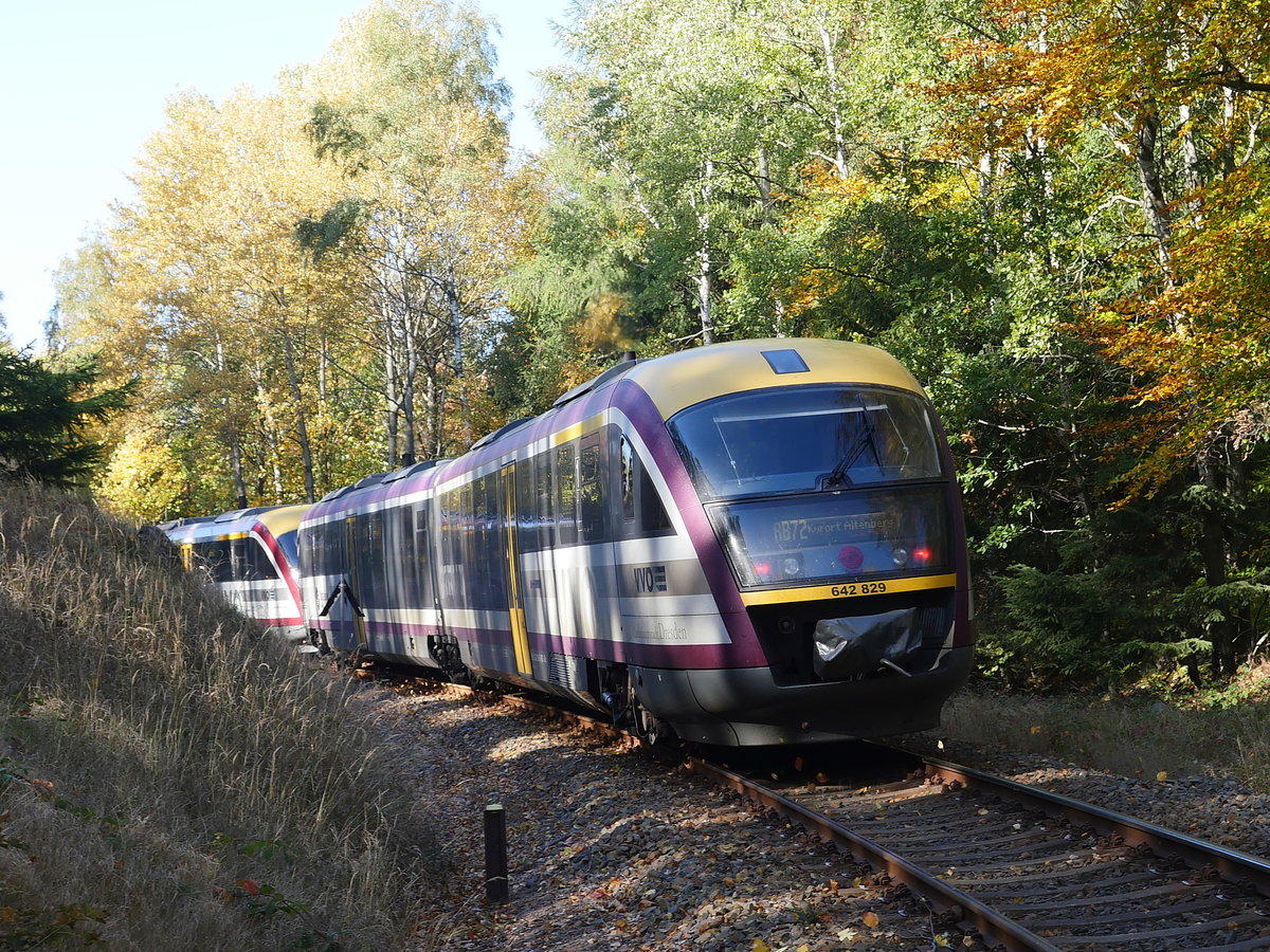 Nachschuss auf die Städtebahn Sachsen mit den beiden Desiro 642 333 und 642 829 als RB72 auf der Fahrt von Heidenau nach Kurort Altenberg; Müglitztalbahn, oberhalb Geising 13.10.2019
