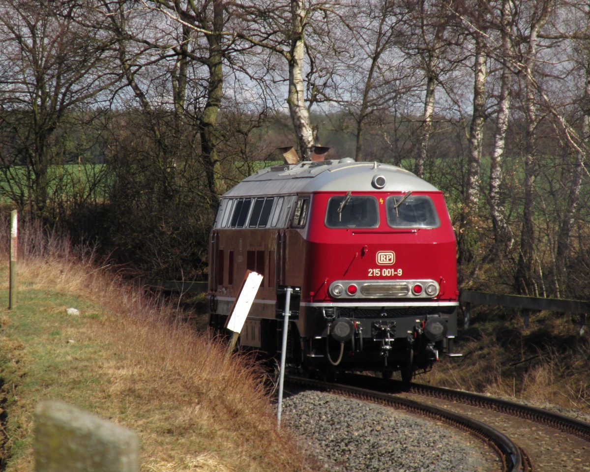 Nachschuss mit der 215 001-9 von Railsystems. Gesehen am 31.3.2015 bei Pöllwitz.