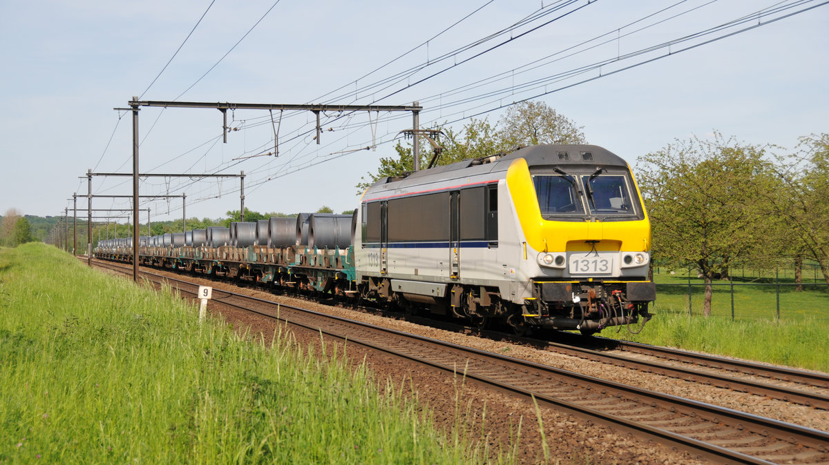 Nix für abergläubige Lokführer. Gleich zweimal prangt die 13 auf der Lokfront. SNCB-Lok 1313 mit einem Stahlplattenzug am 17/05/2017 kurz vor Tongeren.