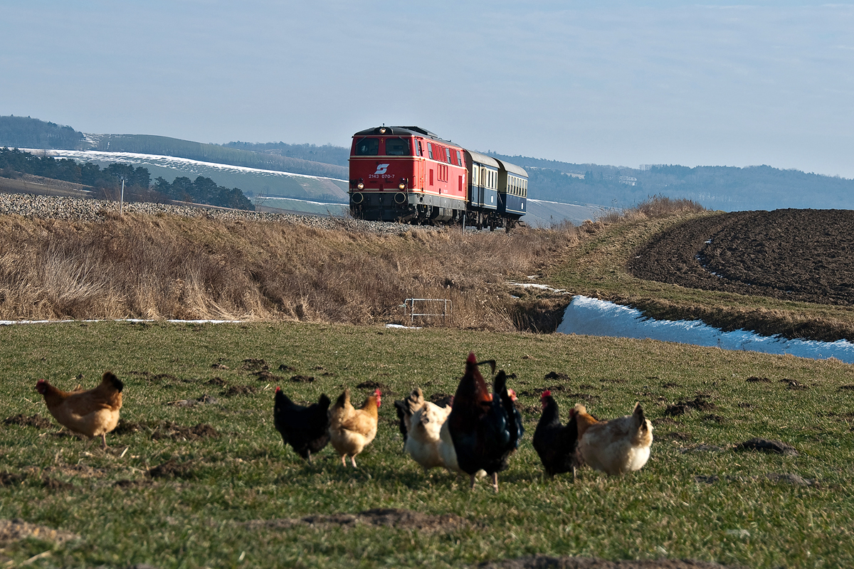 Noch eine Impression aus dem Weinviertel, als am 15.02.2015 die BR 2143 070 mit dem Sonderzug von Wien Praterstern zum Faschingsumzug nach Ernstbrunn unterwegs war. 