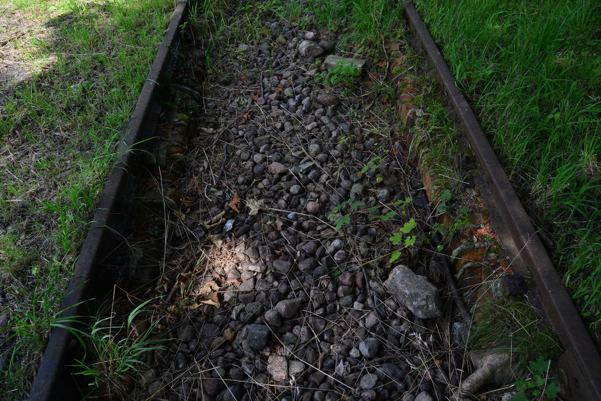 Ob hier eine Grube war? Ein paar Meter der alten Gleise des seit 1965 stillgelegten Bahnhofes Altlandsberg liegen noch auf Backsteinen.

Altlandsberg 31.07.2017