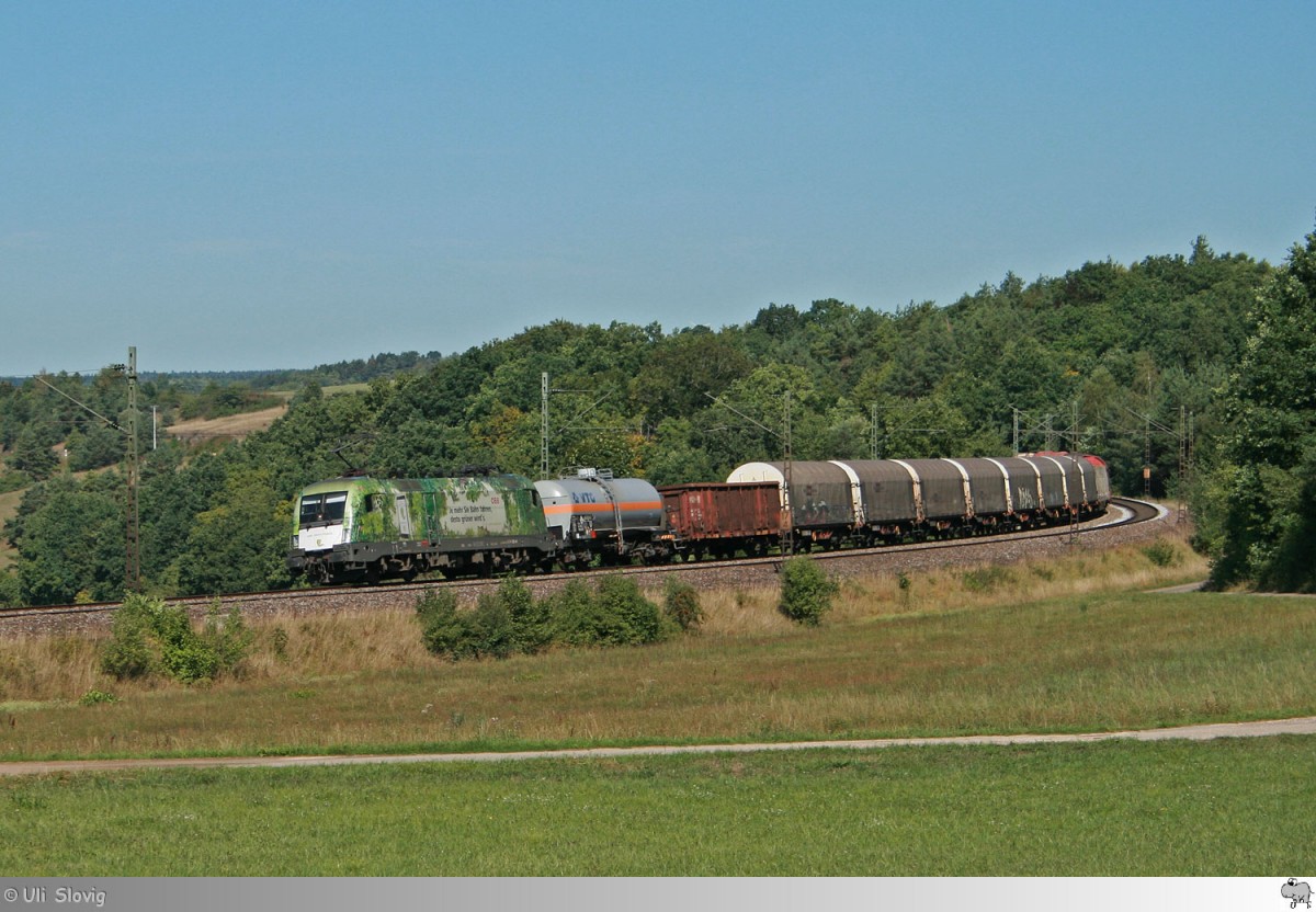 ÖBB 1016 023-4 ist am 26. August 2015 mit einem Güterzug bei Laaber unterwegs.