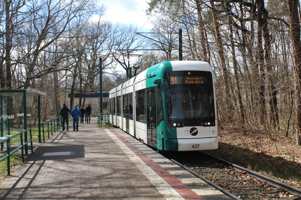 Potsdam VIP SL 91 (Stadler-Variobahn 437) Bahnhof Pirschheide am 2. April 2015.