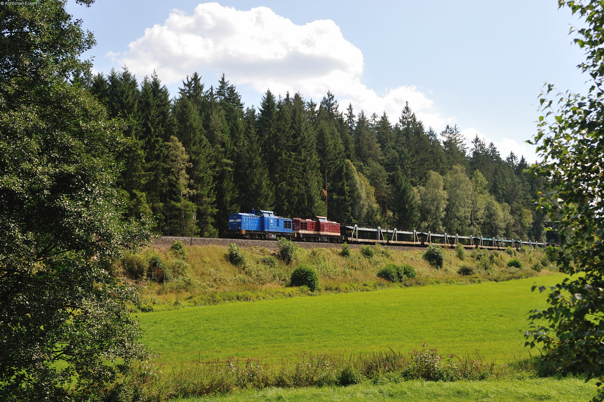 Press Leerautozug von Saal a. d. Donau nach Mosel bei Niederlamitz, 19.08.2016