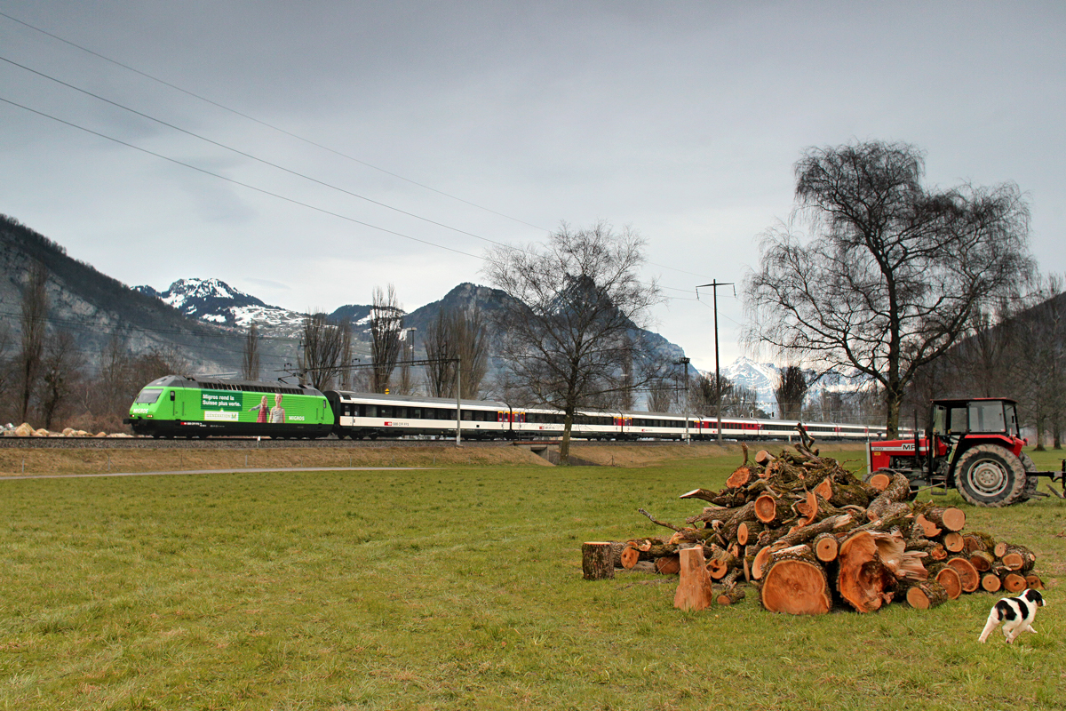 Re 460 080-5  Migros  braust mit einem Ic von Chur nach Zürich HB bei Weesen vorüber.Bild vom 17.3.2015