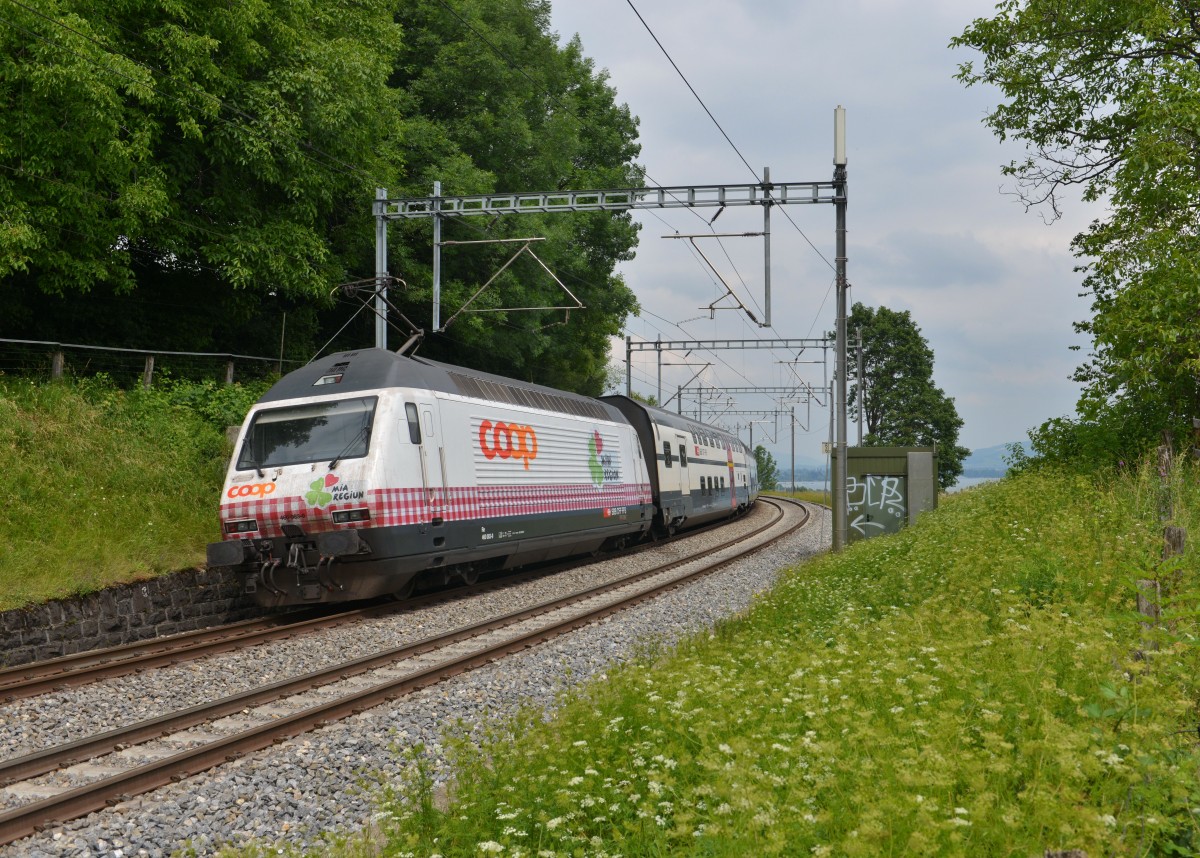 Re 460 083 mit einem IC nach Romanshorn am 18.06.2014 bei Einigen. 