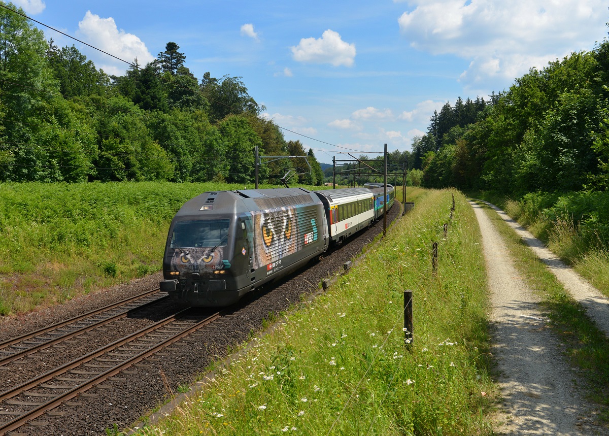 Re 460 105 mit einem IC nach Basel am 18.06.2014 bei Rupperswil.
