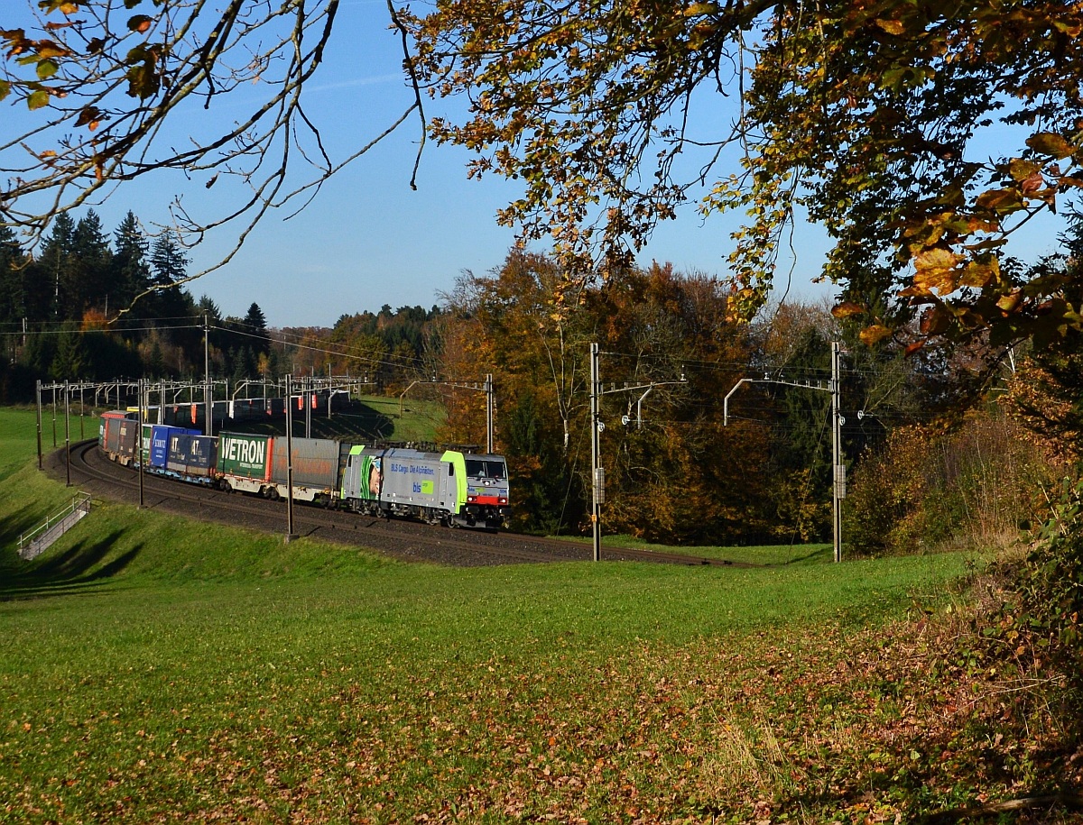 Re 485 BLS bei Mühlau.
8. November 2014