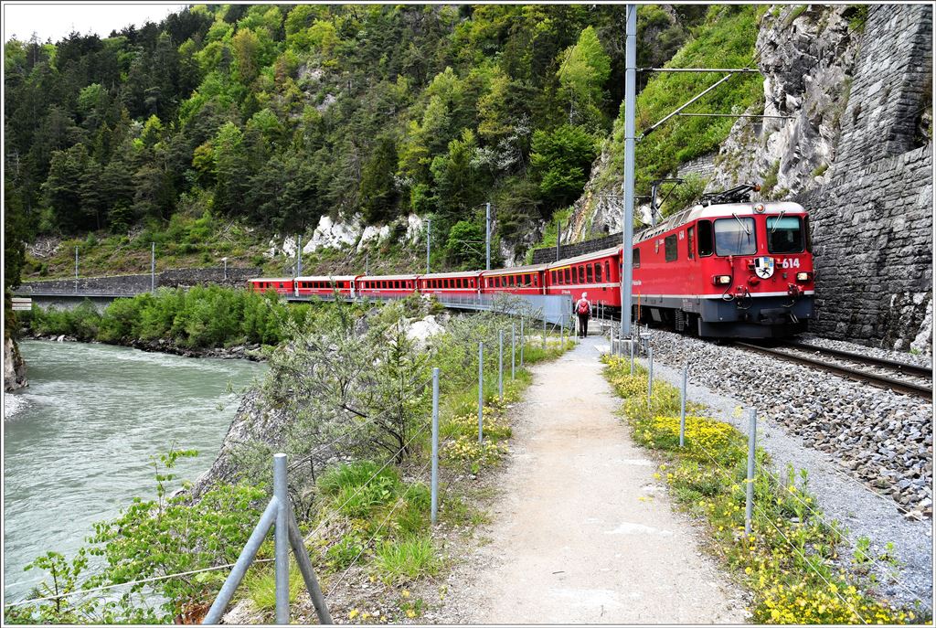 RE1744 mit Ge 4/4 II 614  Schiers  bei der Hochwassermarkierung zwischen Trin und Reichenau-Tamins. (15.05.2016)