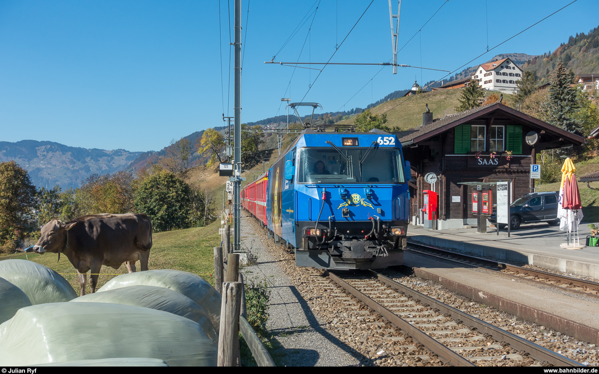RhB Ge 4/4 III 652 mit Werbung für den HC Davos mit RE Landquart - Davos am 20. Oktober 2018 in Saas. Die Kuh scheint die Durchfahrt der Steinbock-Lok wenig zu interessieren.