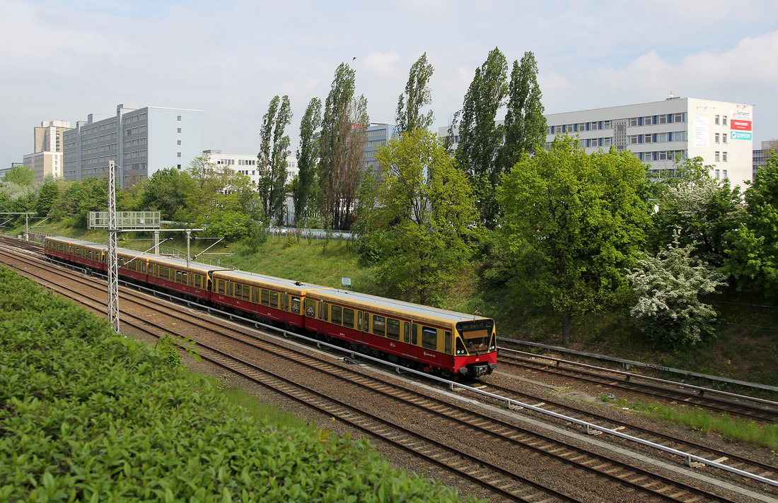 S-Bahn Berlin 480 xxx // Berlin, unweit der Station Landsberger Allee // 15. Mai 2017