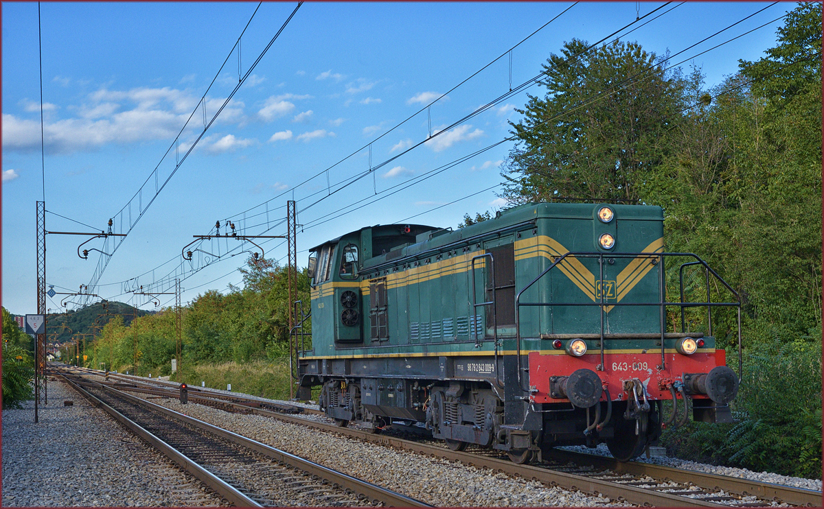 SŽ 643-009 fährt als Lokzug durch Maribor-Tabor Richtung Tezno VBF. /4.9.2017