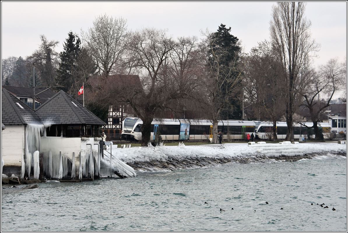 S7 23737 nach Rorschach zwischen Horn und Rorschach Hafen. Die Bise und der Wellengang haben am Vortag das Ufer des Bodensees teilweise mit einem Eispanzer überzogen. (27.02.2018)