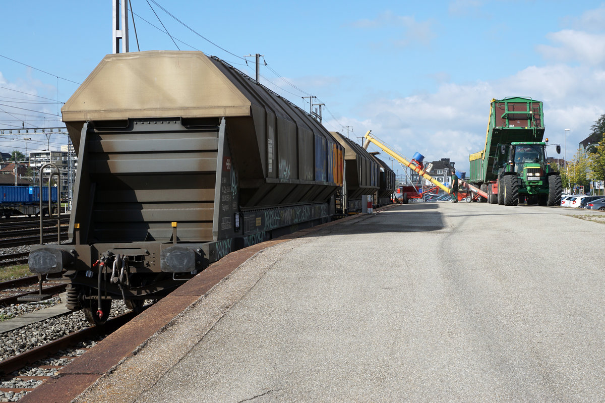 SBB: BAHNALLTAG:
Verladen von Getreide (Weizen) auf die Bahn in Solothurn-HB am 20. September 2017.
Foto: Walter Ruetsch