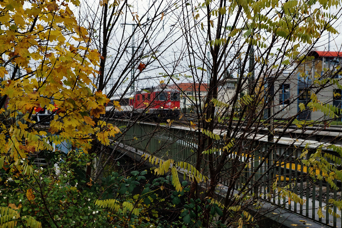 SBB: IC Singen Hohentwiel - Zürich mit der Re 4/4 11 128 anlässlich der Bahnhofsausfahrt Singen am 5. November 2017 einmal anders gesehen.
Foto: Walter Ruetsch