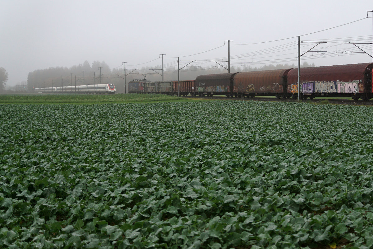 SBB Züge im Herbstnebel
Ein IC 5 in Doppeltraktion am 14. November 2018 zwischen Luterbach und Deitingen anlässlich einer Begegnung mit einem Güterzug geführt mit einer Re 6/6.
Foto: Walter Ruetsch 
