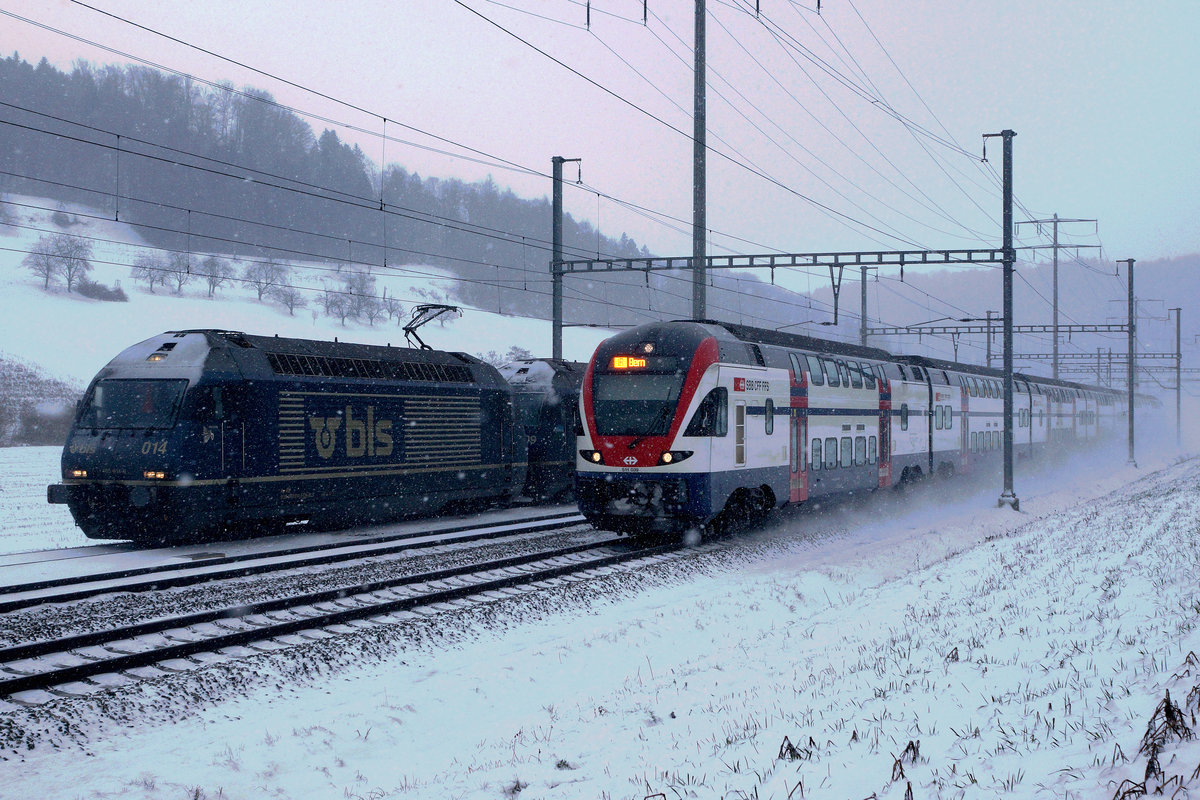 SBB/BLS: IR BERN mit RABe 511 039 anlässlich eines BLS Güterzuges mit den Re 465 014 und Re 465 009 bei Riedtwil am 17. Januar 2017.
Foto: Walter Ruetsch 