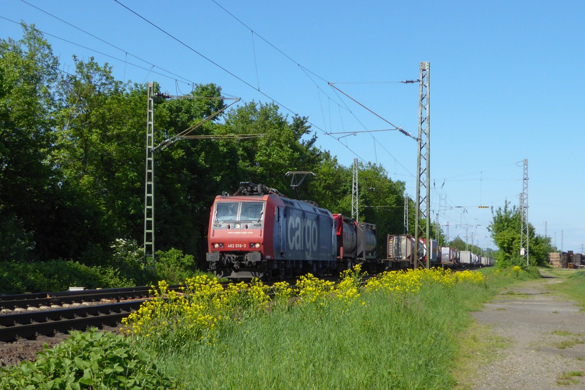 Scheinbar wie auf Blumen gebettet rollt SBB-Cargo 482 016 Richtung Süden der Sonne entgegen. Aufgenommen am 03/05/2014 bei Menden.