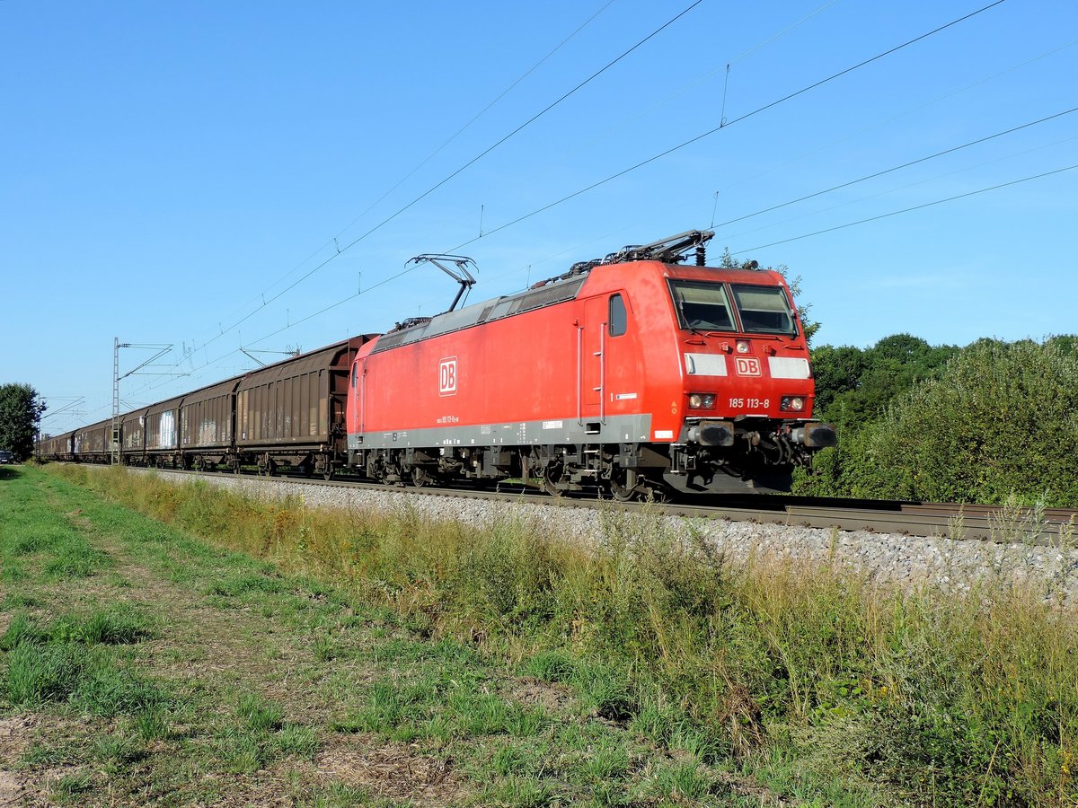 Schutterwald - 07.08.17 : 185 113 mit einem Güterzug