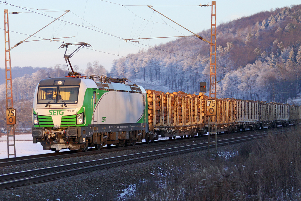 SETG 193 814 am 22.01.2016  16:17 nördlich von Salzderhelden am BÜ 75.1 mit Stammholz in Richtung Göttingen