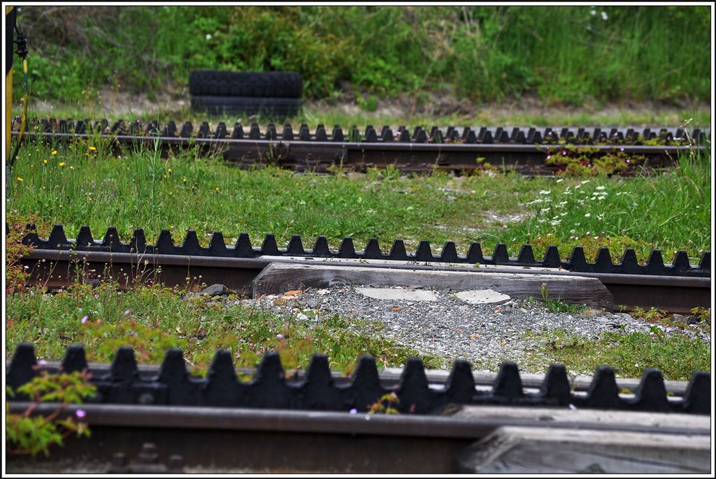 Sie sehen aus wie drei Toblerone, die Abt`sche Zahnstangen der Zahnradbahn von Štrba nach Štrbské Pleso. (05.06.2014)