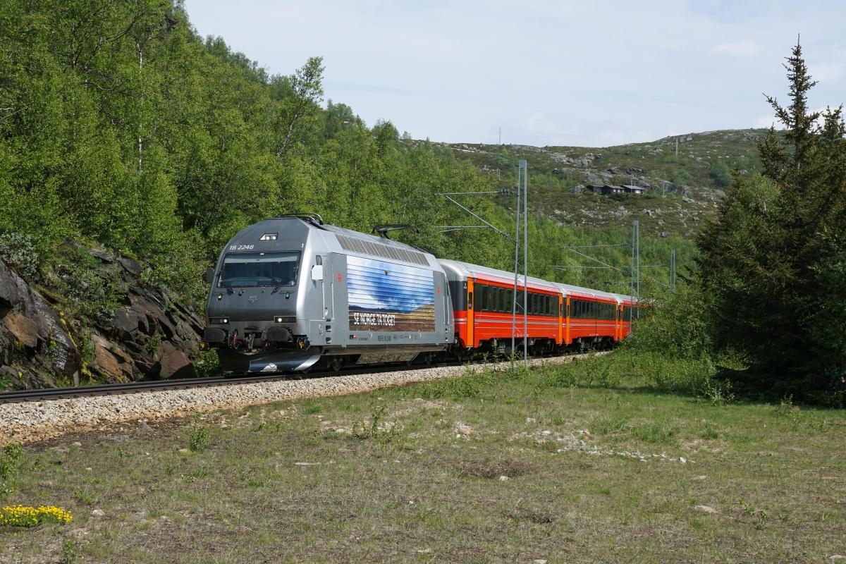 Sommerferien in Skandinavien, 1. Teil: An der Bergenbahn: El 18 2248 verlässt am 05.07.2015 Haugastøl in Richtung Finse.