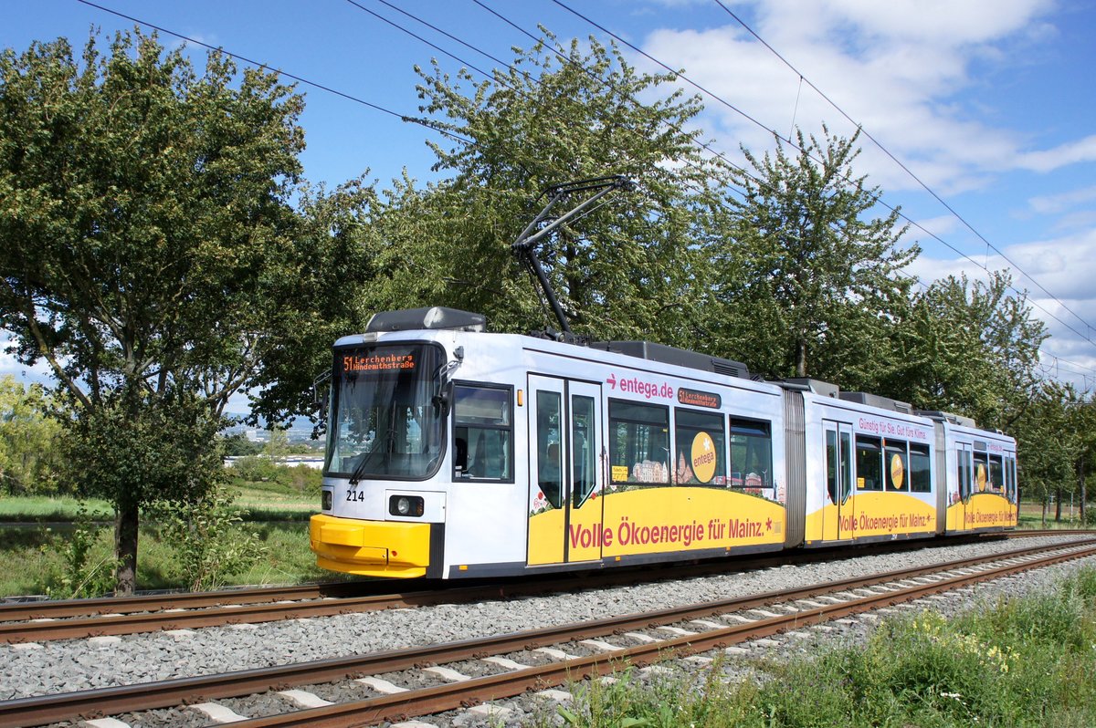 Straßenbahn Mainz / Mainzelbahn: Adtranz GT6M-ZR der MVG Mainz - Wagen 214, aufgenommen im August 2017 bei der Bergfahrt zwischen Mainz-Lerchenberg und Mainz-Marienborn.