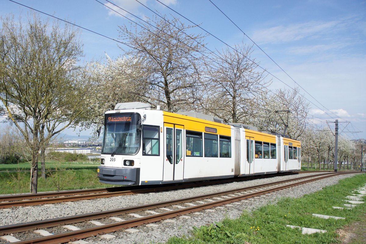 Straßenbahn Mainz / Mainzelbahn: Adtranz GT6M-ZR der MVG Mainz - Wagen 203, aufgenommen im April 2018 bei der Bergfahrt zwischen Mainz-Lerchenberg und Mainz-Marienborn.
