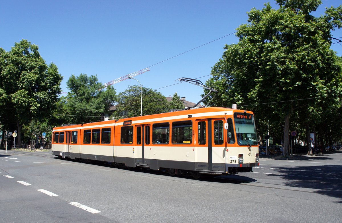 Straßenbahn Mainz: Duewag / AEG M8C der MVG Mainz - Wagen 273, aufgenommen im Juni 2017 an der Haltestelle  Goethestraße  in Mainz.