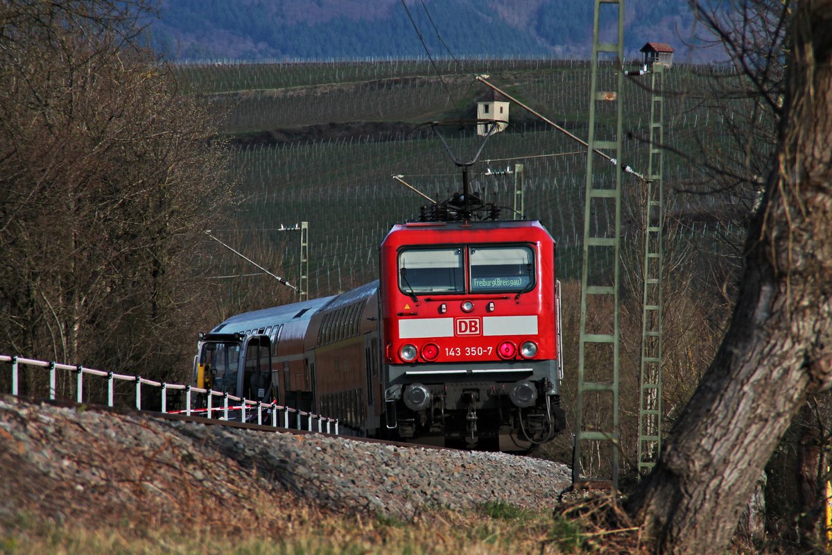Teleaufnahme von der Freiburger 143 350-7, als sie am 30.03.2016 die HVZ-RB (Neuenburg (Baden) - Freiburg (Brsg) Hbf) in kürze an den Bahnsteig von Müllheim (Baden) rollen wird.