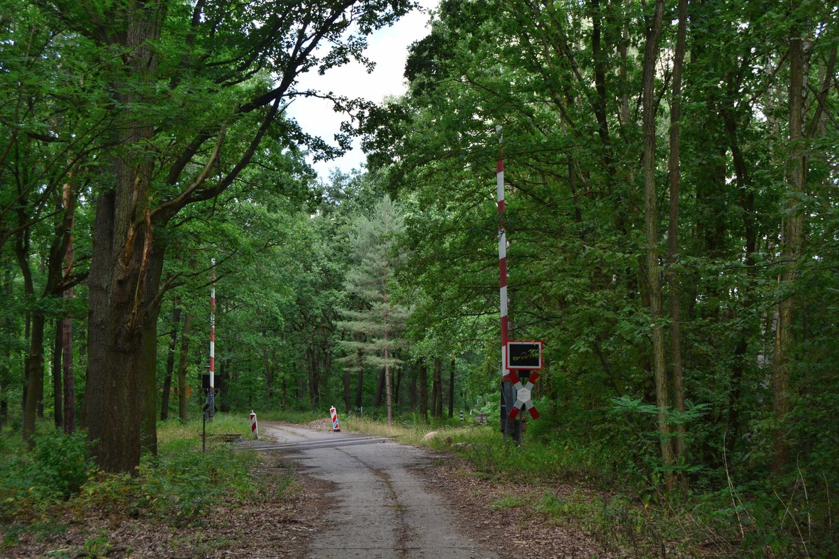 Tief im Wuhlheider Park befindet sich ein Bahnübergang mit Blinklichtanlage welche damals nur in Westdeutschland gebaut wurde. 

Berlin 24.07.2018