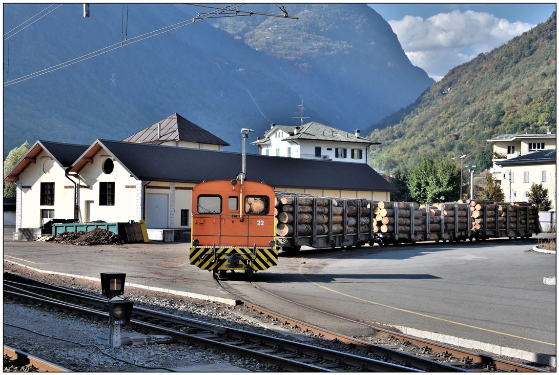 Tm 2/2 22 ist für den Verschub der Langholzwagen in Tirano zuständig. (18.10.20108)